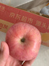京鮮生山東煙臺紅富士蘋(píng)果 凈重9斤 單果75-80mm生鮮水果 源頭直發(fā) 包郵 曬單實(shí)拍圖