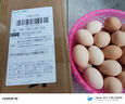 筱諾 新鮮土雞蛋 笨雞蛋 柴雞蛋  現撿現發(fā)破損包賠  單枚40±5g 30枚 曬單實(shí)拍圖