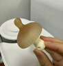 世喜牙膠嬰兒口欲期2-6個(gè)月以上小蘑菇防吃手寶寶安撫磨牙棒硅咬膠 曬單實(shí)拍圖
