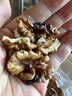 新邊界（new boundaries）薄皮核桃1500g 新疆特產(chǎn)阿克蘇核桃堅(jiān)果炒貨手剝原味量販 曬單實(shí)拍圖