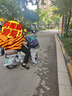 卡拉羊書包小學生1-3-6年級超輕減負背包戶外出游男女高顏值休閑雙肩包 曬單實拍圖