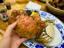 【活蟹】陽澄清歆大閘蟹 鮮活特大螃蟹公蟹母蟹 海鮮水產(chǎn)生鮮禮盒 公4.0-4.3兩母3.0-3.3兩 4對(duì)八只 曬單實(shí)拍圖