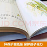 有故事的漢字第一輯全3冊注音彩圖版 親近自然+走進(jìn)生活+認識自我（探尋漢字本源 讓孩子輕松掌握漢字聽(tīng)寫(xiě)）青島出版社 【3冊】有故事的漢字第一輯 曬單實(shí)拍圖