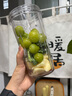 摩飛電器（Morphyrichards）輕食破壁機(jī) 家用2-3人研磨機(jī)粉碎料理機(jī)嬰兒輔食機(jī) 700ml打冰沙五谷雜糧破壁杯榨汁機(jī)果汁杯MR9501 曬單實(shí)拍圖