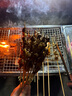 鮮京采內蒙古原切羔羊肉串2斤 （50串）燒烤食材 露營(yíng)戶(hù)外 京東自有品牌 曬單實(shí)拍圖