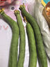 山東長(cháng)絲瓜綠皮絲瓜長(cháng)絲瓜水瓜新鮮蔬菜生鮮絲瓜現摘 精品絲瓜 5斤 凈重 曬單實(shí)拍圖
