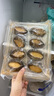 鮮活人生冷凍生蠔肉牡蠣肉 凈重1000g 去殼純肉海蠣子深海生鮮火鍋食材 曬單實(shí)拍圖