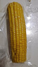 京鮮生東北黃糯玉米棒200g×8根 甜黏玉米 多種包裝隨機發(fā)貨 源頭直發(fā) 曬單實拍圖