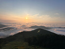 熊貓工廠(chǎng)官方5月齡萌蘭仿真熊貓基地可愛(ài)玩偶抱枕生日七夕禮物毛絨玩具 5月齡萌蘭 長(cháng)35*寬35*高38 曬單實(shí)拍圖