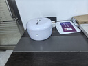 布雷默（BREMMER）有芯卷紙中心抽2層800g*12卷加厚大盤(pán)紙酒店衛生間商用衛生紙整箱 曬單實(shí)拍圖