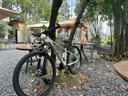 捷安特（GIANT）26款A(yù)TX 830鋁合金筒軸油碟可鎖定避震山地自行車 沙漠鼠尾草 27.5×16 S 建議160-172cm 曬單實(shí)拍圖