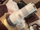 膳魔師（THERMOS）絞肉機家用輔食機料理攪拌機嬰兒多功能和面一體機電動(dòng)絞餡機全自動(dòng)餃子肉餡打蒜器攪肉機 【全家頂配版】白色 2.5L 曬單實(shí)拍圖