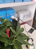 YTFY柏林之聲臺式音響低音炮藍牙有線雙用木質(zhì)音箱客廳家庭影院播放器 珠光白藍牙版 （贈送音頻線) 曬單實拍圖
