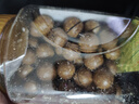 百草味 罐裝夏威夷果500g 堅果炒貨量販干果休閑零食送禮裝含開(kāi)果器 曬單實(shí)拍圖