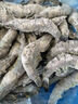 1號會(huì )員店泰國活凍黑虎蝦 斑節對蝦 海鮮水產(chǎn) 凈重2斤（41-50只） 曬單實(shí)拍圖