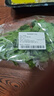 帶根香菜100g 曬單實拍圖