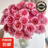 【AB級多頭玫瑰花】花店同款泡泡鮮花云南花束高品質(zhì)花材七夕禮物 AB級泡泡【牛油果泡泡10枝】 曬單實(shí)拍圖