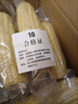 京鮮生東北白糯玉米250g*10棒 新鮮甜糯玉米棒真空包裝粘玉米 源頭直發(fā) 曬單實(shí)拍圖