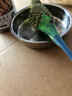 開(kāi)元面包蟲(chóng)干八哥鸚鵡鳥(niǎo)食飼料鷯哥零食蘆丁雞倉鼠零食龜糧食金絲熊 曬單實(shí)拍圖