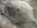 翔泰 海南金鯧魚凈重900g 2條裝  魚類生鮮 燒烤 火鍋食材 海鮮水產(chǎn) 曬單實拍圖