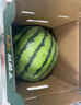 【產(chǎn)地直采】麒麟奶油西瓜1粒4kg 曬單實(shí)拍圖