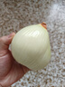 新鮮黃洋蔥黃金水果洋蔥即食蔬菜調(diào)料燒烤食材 新鮮黃洋蔥 500g 含箱 曬單實(shí)拍圖
