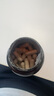 HerbsofGold有機硒片hpv增強免疫力 富硒補硒第一酵母硒升級男女士和麗康澳洲 【活性有機硒片】60粒 曬單實(shí)拍圖