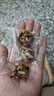 八寶手工切糕新疆特產(chǎn)堅果酥核桃巴旦木無蔗糖健康營養(yǎng)糕點零食品 八寶切糕【80包】 曬單實拍圖