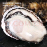 一蝦一世界鮮活現(xiàn)剝?nèi)ご筇柹柸?50g/盒 新鮮速凍牡蠣肉海蠣子火鍋燒烤 大號3斤裝 250g*6盒【固形物80%】 曬單實(shí)拍圖