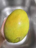 京鮮生 樹(shù)上熟 即食凱特芒果 5斤禮盒裝 4-6顆 生鮮水果 曬單實(shí)拍圖