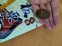 BHB板栗仁500g（100g*5袋）栗子休閑堅果零食干貨河北特產(chǎn)甘栗仁 曬單實(shí)拍圖