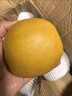 秋月梨新鮮水果冰糖蜜梨包郵山東萊西特產(chǎn)教師節(jié)中秋節(jié)禮盒梨子 精選4.5斤（250g+） 曬單實(shí)拍圖