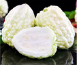 【超市品質(zhì)】蘋(píng)果苦瓜山東白玉苦瓜現摘農家自種新鮮蔬菜生鮮 蘋(píng)果苦瓜 5斤 凈重 曬單實(shí)拍圖