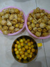 順豐包郵姑娘果鮮果新鮮水果燈籠果菇娘果東北特產(chǎn)現(xiàn)摘當(dāng)季 姑娘果5斤裝 曬單實(shí)拍圖