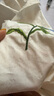 初語(yǔ)植物系花卉刺繡長(cháng)袖翻領(lǐng)襯衫女2025秋季新款簡(jiǎn)約對稱(chēng)設計上衣 白色 M 曬單實(shí)拍圖