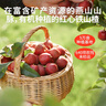 秋田滿(mǎn)滿(mǎn)兒童零食山楂棒棒糖果條茯苓果片_享嬰幼兒36個(gè)月1歲寶寶零食譜 【推薦|有機認證】山楂棒204g 曬單實(shí)拍圖