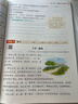 小學(xué)語(yǔ)文閱讀理解答題模板三年級上冊 2025秋同步教材閱讀訓練單元考點(diǎn)萬(wàn)能模版天天練寫(xiě)作技巧素材書(shū) 曬單實(shí)拍圖