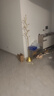 新房子意式輕奢衣帽架落地臥室床邊個(gè)性放衣服收納架子簡(jiǎn)易家用掛衣架 橄欖樹(shù)款：納米金（實(shí)心底座） 曬單實(shí)拍圖