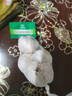 大蒜頭出口品質(zhì)網(wǎng)兜紫蒜蔬菜調(diào)料新鮮大果燒烤火鍋食材 【精品網(wǎng)兜裝】5頭裝 0.37g 曬單實(shí)拍圖