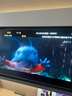 東芝電視小芝士Z600QF PRO 音畫雙芯MiniLED 火箭炮SOUND 300Hz 4K超清 以舊換新 家電國家補(bǔ)貼 75英寸 75Z600QF PRO 曬單實(shí)拍圖