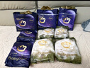 babycare皇室獅子王國紙尿褲bbc嬰兒尿不濕尿片夏季超薄透氣尿布迷你裝 紙尿褲-NB碼 1包 34片 【5KG以下】 曬單實(shí)拍圖
