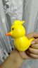 乖明星水鳥口哨兒童發(fā)音訓(xùn)練可注水加水會(huì)學(xué)鳥叫嬰幼兒喇叭小鳥哨子玩具 曬單實(shí)拍圖