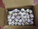 味小仙云南紫皮獨(dú)頭蒜干蒜 2025新蒜大蒜頭蔬菜生鮮 特大號(hào)(3.5cm-4.0cm)干蒜 5斤 曬單實(shí)拍圖