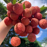 可愛萌兔水杯學(xué)生水杯創(chuàng)意禮品杯便攜隨身杯時(shí)尚玻璃杯 【顏色隨機(jī)發(fā)貨】萌兔杯320ml 曬單實(shí)拍圖