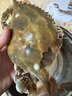 梭子蟹鮮活特大野生舟山大螃蟹海鮮新鮮冷凍海蟹水產(chǎn)飛蟹白蟹順豐 7-9兩/只 【凈重5斤特大梭子蟹】 曬單實(shí)拍圖