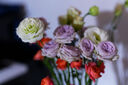 松下S9（20-60mm F3.5-5.6）套機(jī)（Panasonic）全畫幅微單 實(shí)時(shí)Lut 濾鏡直出 連接app極速分享 灰銀 曬單實(shí)拍圖