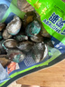 江船長 冷凍鮑魚 凈重160g(18-22粒)袋裝 火鍋燒烤食材 海鮮生鮮 曬單實拍圖