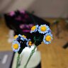 樂高（LEGO）積木 花植系列10342粉黛花束禮盒 七夕情人節(jié)禮物 曬單實拍圖