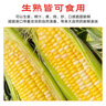 京鮮生云南水果玉米5斤 鮮甜玉米棒 甜脆多汁 新鮮蔬菜 源頭直發(fā)包郵 曬單實(shí)拍圖