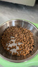 澳龍泌尿處方糧貓尿閉尿血尿結石貓膀胱炎全價(jià)泌尿道處方糧貓糧1.2kg 曬單實(shí)拍圖
